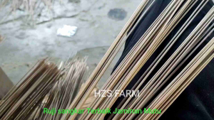 Ruji Sangkar Bambu HZS ZET BLACK 1.7 MM 200 Batang Pilihan