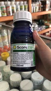 Score 250ec 250ml Fungisida Difenokozanol Mengendalikan penyakit pada tanaman