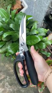 Kéo cắt gà vịt Nhật hiệu kaisho nội địa sắc bền dùng khỏi chê