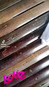 12pcs Kaos dalam anak cowok cewek anak laki-laki perempuan perlusin 12pcs Singlet kids 0 -7 tahun