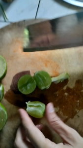 เครื่องมือทำเลือกกิ่งมะนาวแป้น รากแน่น หอม เปลือก บาง น้ำเยอะ 80-100 กิมติ ชำระปลูก รากแน่น หอม