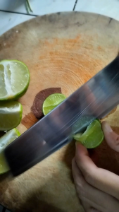 กิ่งตอนมะนาวพันธุ์ด่านเกวียน ชำในถุงดำ  ผลใหญ่ ไร้เมล็ด น้ำเยอะ พร้อมลงปลูก