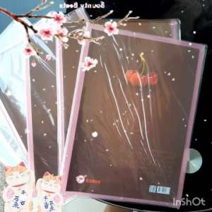 แฟ้มโชว์เอกสาร โรบิน รุ่น 175 ชนิดสอดปกได้ (สีชมพู) A4 เติมไส้ได้