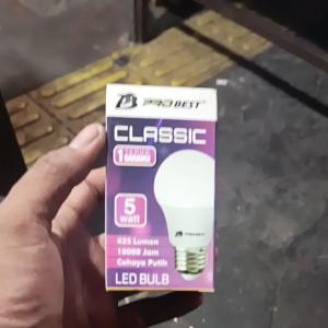 Mengenal Lampu LED Probest 5 Watt: Efisiensi Energi dan Ketahanan