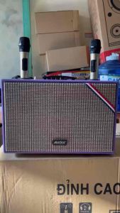 Loa Karaoke Xách Tay AUDIX B20 New 2024 (Loa 2 đường tiếng 1 bass 20cm 1 treble 300W 2 Micro UHF karaoke chống hú)