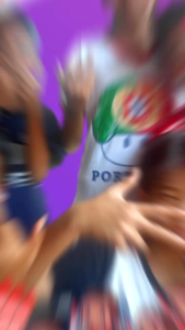 stiker pipi | bendera merah putih | 10 pc