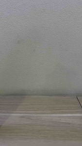 CAT ACRYLIC AKRILIK 12 WARNA: Panduan Lengkap