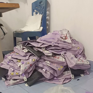 DCSTORE Labubu kuromi labubu ransel sekolah tas sekolah tas anak ransel wanita tas sekolah labubu