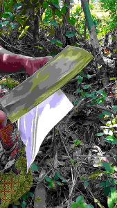 Pisau Chooper & Alat Pemotong Bambu Kayu & Cacah Daging Tulang Sapi Ayam