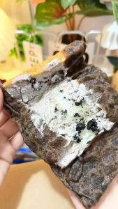 [Combo 5 bánh] Bánh Cuộn Socola Kem Tươi Choco GULU - Bánh Bông Lan Cuộn Nhân Kem Socola Cookies 88g