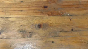 Tang Potong Kupas Kabel 8 inch Gunting Pemotong Kabel Wire Stripper KAPUSI JAPAN