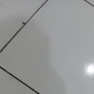 BAJU IMPORT  (ORIGINAL)SETELAN PENDEK SINGLET HP ANAK COWOK CEWEK 1-4TAHUN ( PAKET HEMAT )