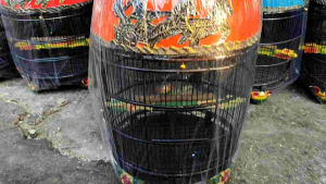SANGKAR/KANDANG BURUNG PERKUTUT MOTIF KENCANA PIBER FULLSET TERMURAH  ASLI CIANJUR