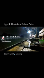 Patin Dan Bawal seri 08