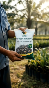 Benih Mucuna Bracteata Max Lokal / Max Premium – Cover Crop Penutup Tanah 500gr 1kg – Algazali Agrotech