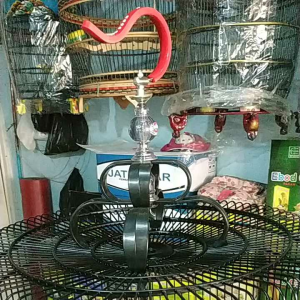 logo merek variasi ebod jaya ful set untuk sangkar murai batu bulat merk pipn gantungan lipat dari lapis karet klem karet stoper original