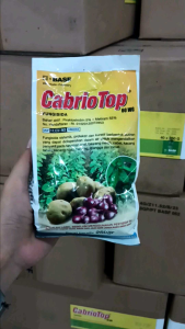 FUNGISIDA CABRIO TOP 60WG 250GR /500GR OBAT JAMUR