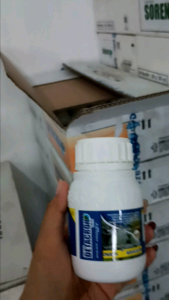 Insektisida Detacron 100ml/250ml Obat Hama