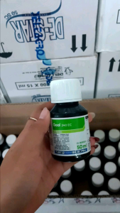 GOAL 240 EC 50 ML Pembasmi Rumput Pada Bawang Merah
