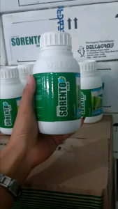 FUNGISIDA SISTEMIK SORENTO 250 EC: Fungisida Aman Digunakan