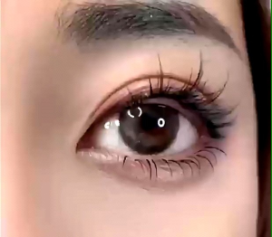 Paket Eyelash Lengkap Bulu Mata Anlinnet