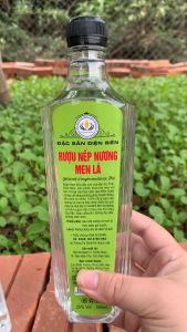 Rượu Nếp Nương men Lá Dân tộc Thái (25 vol ) ủ chum sành hạ thổ  đã khử độc tố xử lý qua metanol - Đặc Sản 277