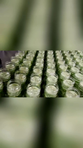 น้ำจิ้มซีฟู้ด ขายดีซีฟู้ด