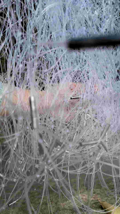 LƯỚI CÁ CHẼM CƯỚC 55 CÁ 2 đến 3kg DÀI 20 đến 30 mét Cao 1.6 đến 2 mét.