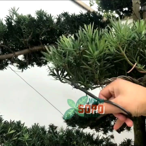 Alat Bonsai Gunting Ranting Gunting Pruning China MSW-55