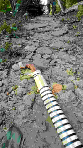 Alat kebun Simet geulis bilah panjang 37-40cm dengan pegangan kayu dan bilah bergerigi.