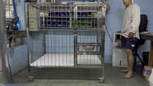 3x4x4 w/FEEDING WINDOW.. HEAVY DUTY STAINLESS 304 DOG DAGE
