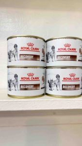 ROYAL CANIN RECOVERY CAN DOG/CAT WET FOOD 12PIECES (1CASE)