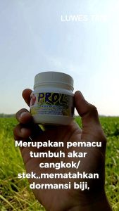 PROL Root Activator 100g Seed Treatment Bawang Merah