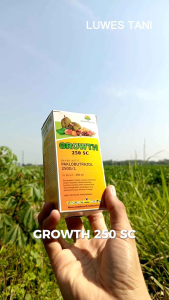 GROWTH 250 SC ( 250 ML ) ZPT Paklobutrazol pembesar umbi bawah merah