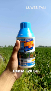 Fungisida Dense 500 ML 520 SC pembasmi bercak daun DGW