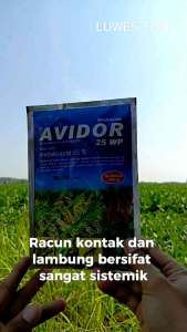 AVIDOR 25 WP 400 Gram Insektisida obat hama wereng kutu daun trips