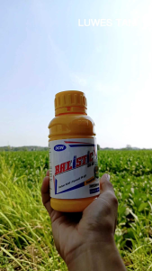 BALISTIC 50SC 200ml Insektisida