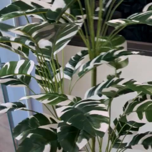 Mua Cây Tặng Chậu- Cây giả Cây chuối giả Cây giả mẫu mới của shop cây hoa giả decor mọi không gian siêu siêu xinh