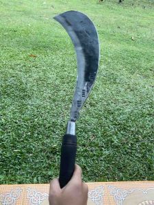 arit tebu / alat tebang tebu