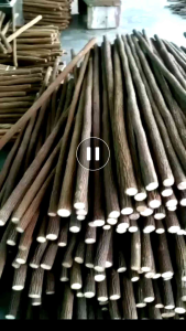 Tangkringan Pangkringan Kayu Asem Sangkar Burung panjang 60 cm