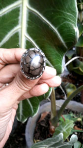 cincin akik enrekang