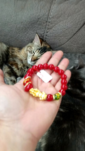 Pure Red Agate Bracelet w/ Gold Piyao Dragon Lucky Furtune