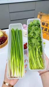 Hộp đựng hành lá mì ý muỗng đũa 6790 HOKORI nhựa VIỆT NHẬT cao cấp - Hộp có nắp đậy kín chống mùi hiệu quả