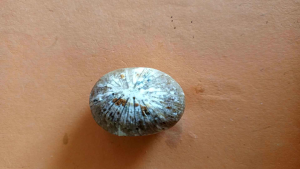 batu tarikan alam (penjaga rumah dan pelar!s dagang)