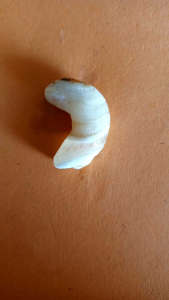 Batu Tarikan Alam: Pengasahan Spiritual & Keberuntungan