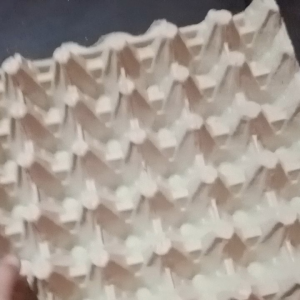 TRAY TELUR/TATAKAN TELUR AYAM ATAU BEBEK BEKAS