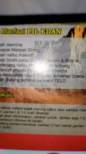 PIL EDAN MERPATI JAMU HERBAL KHUSUS BURUNG MERPATI DORO
