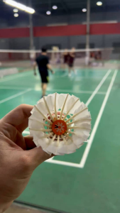 SENA Sports Shuttlecock Premium / Kok Bola Bulu Tangkis / Shuttlecock Original