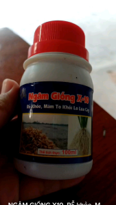 2 chai xử lí giống Ngâm giống X10 rễ khỏe mầm to kích rễ không lo lúa cấy
