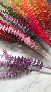 [CABANG 5] EUCALYPTUS X5 DAUN DOLLAR EUKALIPTUS EUCALIPTUS LEAVES DAUN PALSU ARTIFICIAL FLOWER DAUN DEKORASI PANJANG TINGGI MENJUNTAI BUNGA DEKORASI DECORATION WEDDING CNY CHINESE NEW YEAR DAUN HIAS DEKORASI RUMAH HOME DECORATION
